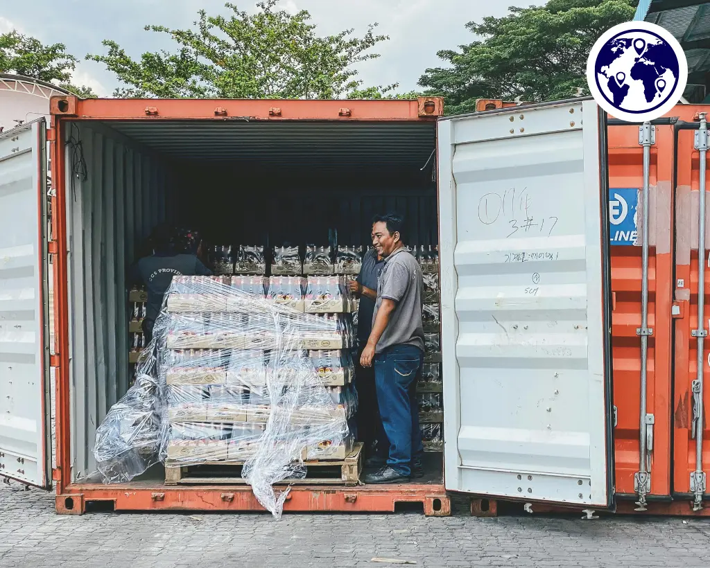 تبسيط عملية التصدير مع PlusClouds